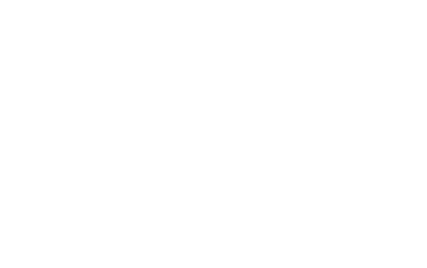 G-Net Solutions logo