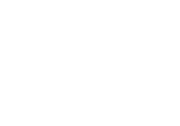 Health Data Analytics Institute logo